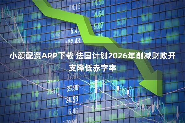 小额配资APP下载 法国计划2026年削减财政开支降低赤字率