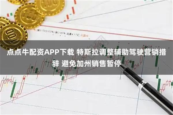 点点牛配资APP下载 特斯拉调整辅助驾驶营销措辞 避免加州销售暂停